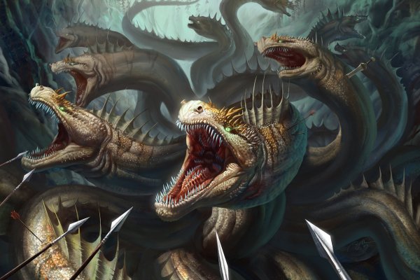 Войти kraken спортивная одежда