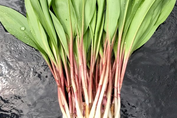 Кракен маркетплейс спортивные товары купить недорого