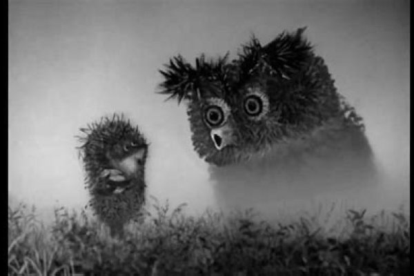 Krab9 at спортивные товары