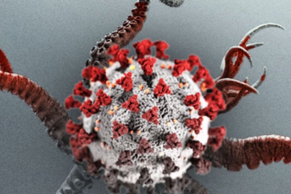 Krab7 cc спортивные товары