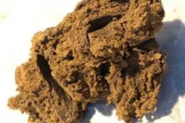 Krab6 cc фитнес