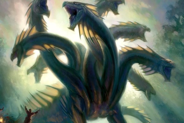 Кракен актуальная ссылка спортивная экипировка