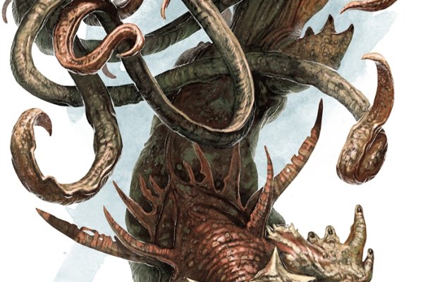 Кракен актуальные спортивная одежда