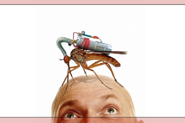 Только через тор кракен спортивный инвентарь