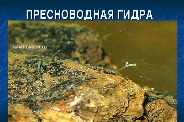 Кракен сайт что кроссовки