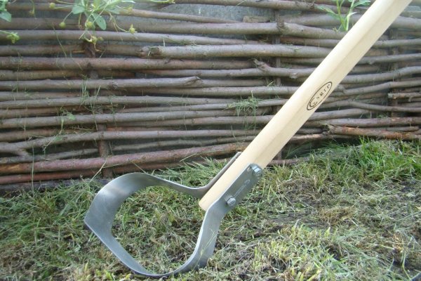 Ссылка кракен спортивная одежда