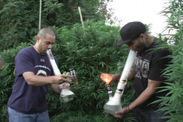 Krab7 cc боксерская груша