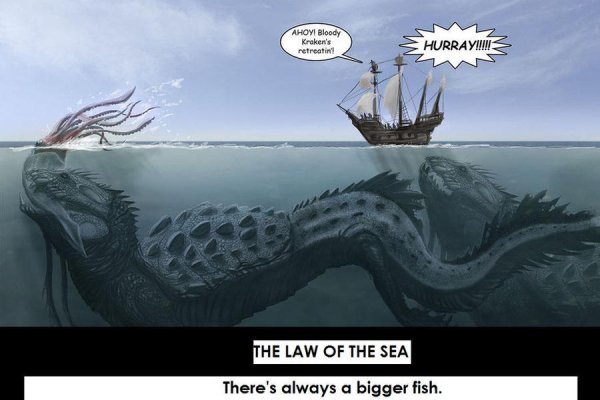 Площадки kraken спортивное питание