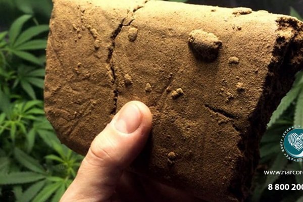 Krab8 at спортивные товары купить