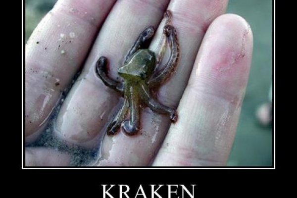 Krab7 at инвентарь спортивный