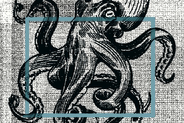 Krab8 cc коньки