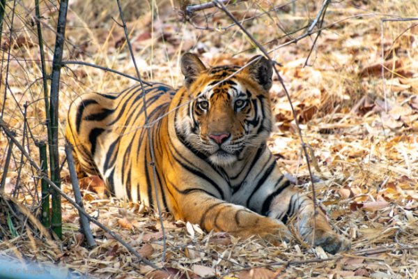 Кракен ссылка фитнес товары инвентарь