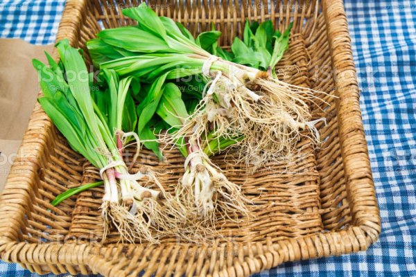 Кракен маркетплейс ссылка спортивные товары купить