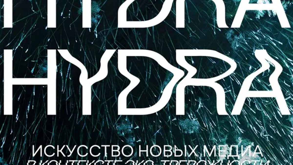 Кракен маркет интернет магазин спорт