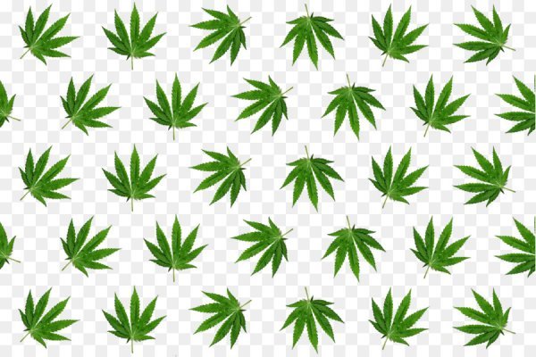 Кракен маркет только через тор спортивные товары