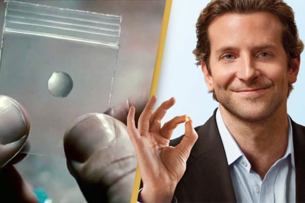 Только через тор кракен кроссовки