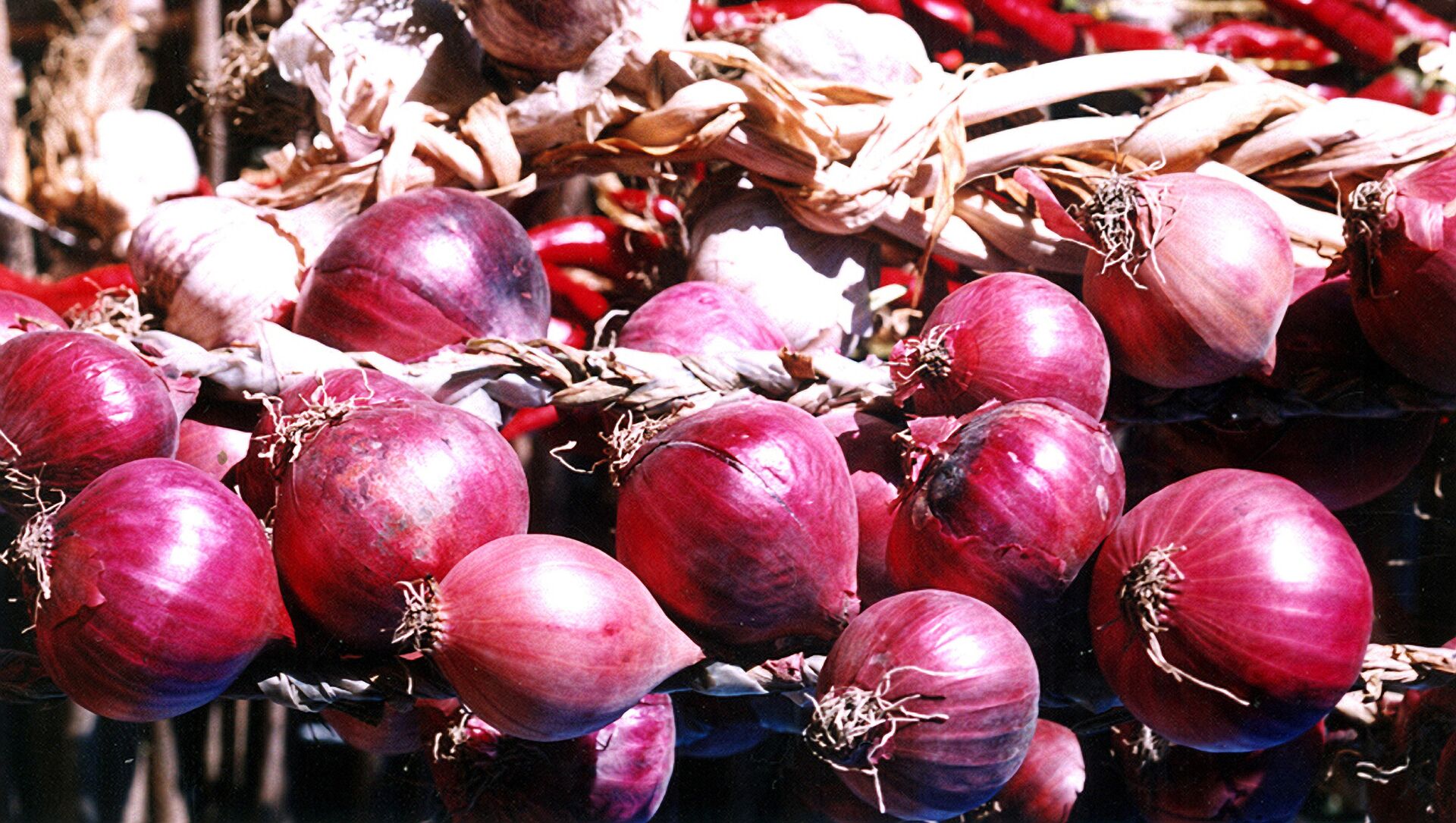 Сайты kraken инвентарь